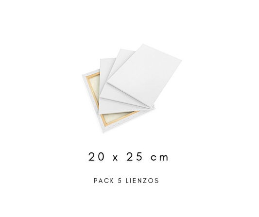 Pack 5 de lienzos 20 x 25 cm