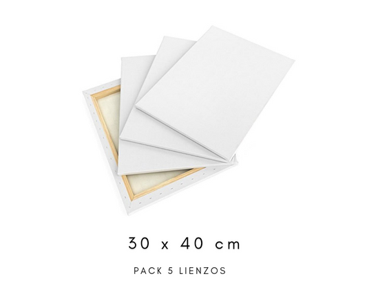 Pack 5 lienzos de 30 x 40 cm